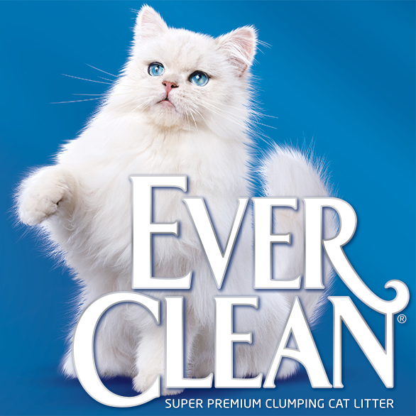 EverClean