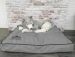 CAZO Mattress Royal Line Grey 15 × 110 × 90cm (L1004D)