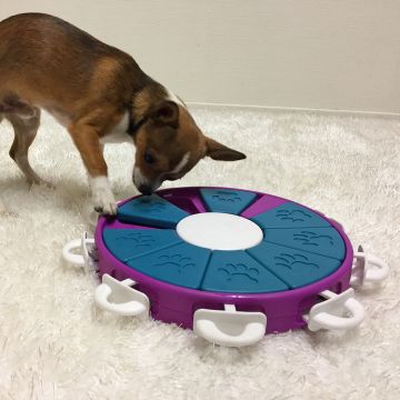 Nina Ottosson Dog Twister 30x5 cm taso 3.
