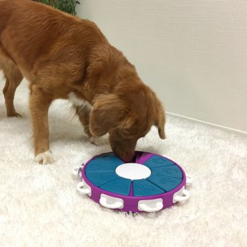 Nina Ottosson Dog Twister 30x5 cm taso 3.