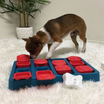 Nina Ottosson Dog Brick taso 2