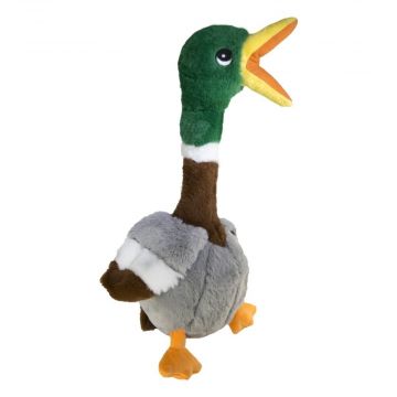 Shakers Honkers Duck L