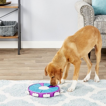 Nina Ottosson Dog Twister 30x5 cm taso 3.
