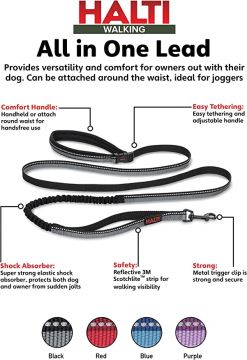 HALTI active Lead Black Large