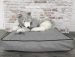 CAZO Mattress Royal Line Grey 15 × 90 × 75cm (L1004C)