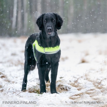 Atte-huomioliivi neonkeltainen