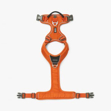 Dog Copenhagen Comfort Walk Pro™ Harness orange sun