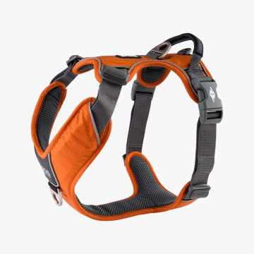 Dog Copenhagen Comfort Walk Pro™ Harness orange sun