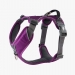 Dog Copenhagen Comfort Walk Pro™ Harness violetti