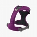 Comfort Walk Pro™ Harness violetti