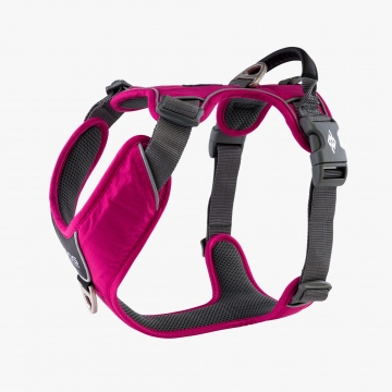 Dog Copenhagen Comfort Walk Pro™ Harness wild rose