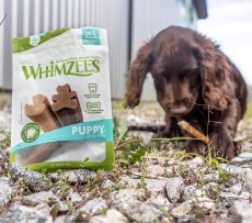 Whimzees Puppy M/L  pussi 7 kpl