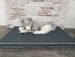 CAZO Mattress Outdoor Maxy - grey 7 × 120 × 80cm (1742C)
