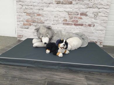 CAZO Mattress Outdoor Maxy - grey 7 × 120 × 80cm (1742C)