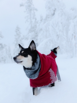 Extreme Warmer Lämpötakki puolukka