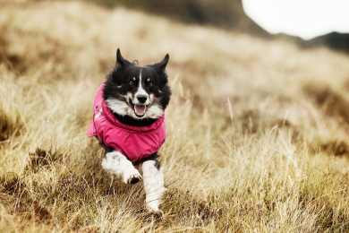 Hurtta Outdoors Summit Parka vedenpitävä talvimantteli 45 kirsikka 