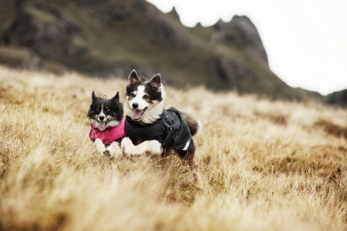 Hurtta Outdoors Summit Parka vedenpitävä talvimantteli 45 kirsikka 