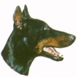 Dobermanni KHS001