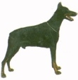 Dobermanni KHS002