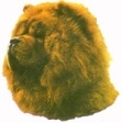 Chow Chow KHS011