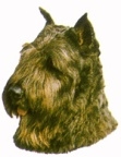 Bouvier KHS028
