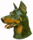 Beauceron KHS064