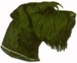 Suursnautseri KHS068