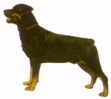 Rottweiler KHS120