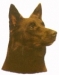 Australian kelpie KHS134