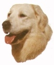 Kuvasz KHS175