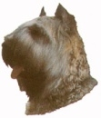 Bouvier KHS181