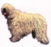 Komondor KHS205