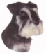 Snautseri KHS229