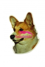 Welsh Corgi KHS103