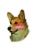 Welsh Corgi KHS103