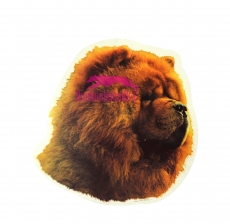 Chow Chow KHS011