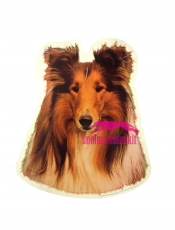 Collie KHS013