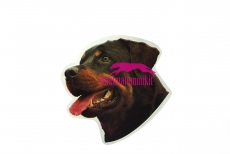 Rottweiler KHS144