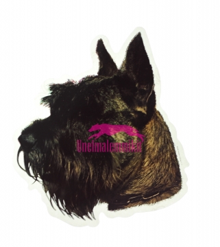 Snautseri KHS014