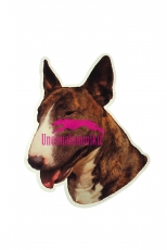 Bullterrieri KHS165