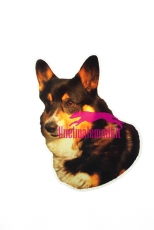 Welsh Corgi KHS201