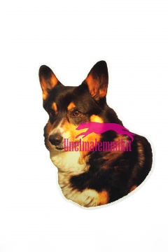Welsh Corgi KHS201