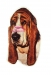 Basset Hound KHS022