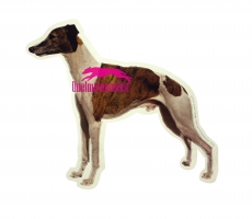 Whippet KHS055