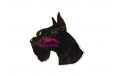 Suursnautseri KHS077