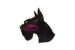Suursnautseri KHS077