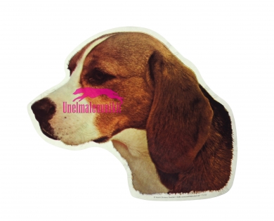 Beagle KHS085