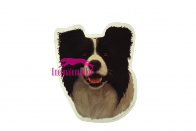 Bordercollie KHS087