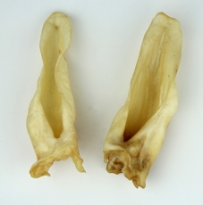 PB Lampaankorva 100 g