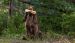 Moose XS